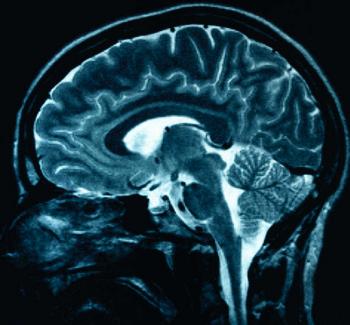 the os of the origin of consciousness - the operating system of the mind